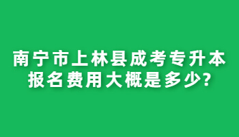 南寧市上林縣成考專升本報名費用大概是多少?
